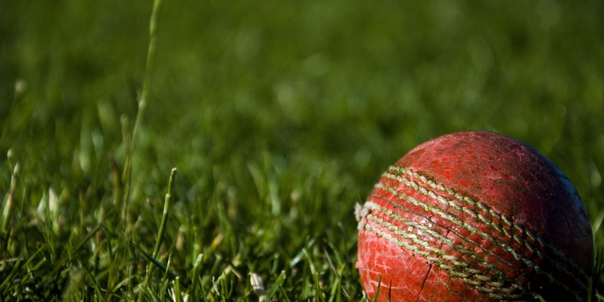 Cricket ball resting on grass